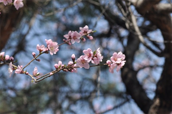 祝福文案 中秋节祝福客户文案(精选80句)