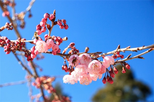 小说《忘川》句子