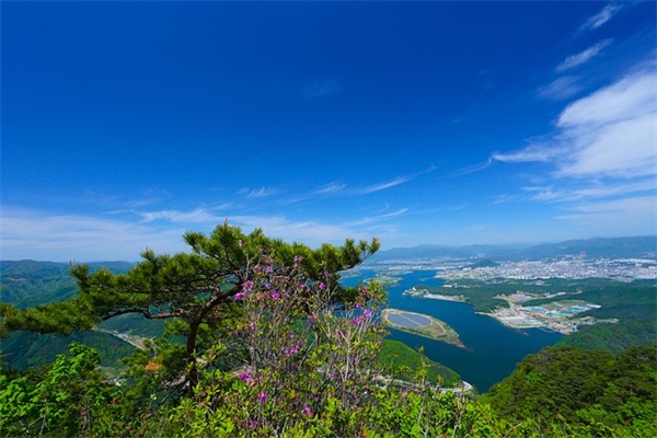 中班中秋节教案